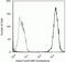 SMAD2 antibody, 700048, Invitrogen Antibodies, Flow Cytometry image 