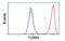 Tubulin Beta 4A Class IVa antibody, MBS834975, MyBioSource, Flow Cytometry image 