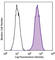 CD63 Molecule antibody, 143902, BioLegend, Flow Cytometry image 