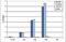 Histone H2B antibody, NBP2-59272, Novus Biologicals, Chromatin Immunoprecipitation image 