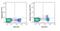 FOXP3 antibody, A18662, Invitrogen Antibodies, Flow Cytometry image 