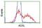 ADSL antibody, NBP2-03107, Novus Biologicals, Flow Cytometry image 