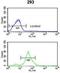 Tetraspanin 12 antibody, GTX81087, GeneTex, Flow Cytometry image 