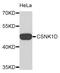 Casein Kinase 1 Delta antibody, STJ23242, St John