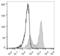 T-cell receptor beta chain V region 86T1 antibody, LS-C811335, Lifespan Biosciences, Flow Cytometry image 