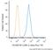 Chondroitin Sulfate Proteoglycan 4 antibody, NB100-2688AF700, Novus Biologicals, Flow Cytometry image 