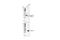 Arginase 2 antibody, 19324S, Cell Signaling Technology, Western Blot image 