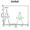 Inner Mitochondrial Membrane Peptidase Subunit 2 antibody, abx034608, Abbexa, Flow Cytometry image 