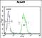 Tripartite Motif Containing 43 antibody, PA5-71547, Invitrogen Antibodies, Flow Cytometry image 