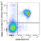 Carcinoembryonic Antigen Related Cell Adhesion Molecule 1 antibody, 134531, BioLegend, Flow Cytometry image 