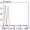 Superoxide Dismutase 1 antibody, NBP2-67158, Novus Biologicals, Flow Cytometry image 