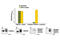 Platelet Derived Growth Factor Receptor Beta antibody, 7235S, Cell Signaling Technology, Enzyme Linked Immunosorbent Assay image 