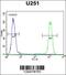 Solute Carrier Family 35 Member F6 antibody, 55-223, ProSci, Flow Cytometry image 