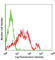 CD226 Molecule antibody, 337102, BioLegend, Flow Cytometry image 