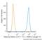 Melanoma Marker antibody, NBP2-34547R, Novus Biologicals, Flow Cytometry image 