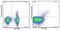 FOXP3 antibody, 56-4776-41, Invitrogen Antibodies, Flow Cytometry image 