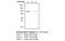 Taste 1 Receptor Member 1 antibody, MBS837629, MyBioSource, Western Blot image 