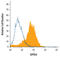 Developmental pluripotency-associated protein 4 antibody, BAF3674, R&D Systems, Western Blot image 