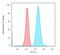 Fascin Actin-Bundling Protein 1 antibody, GTX34718, GeneTex, Flow Cytometry image 