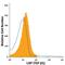 TGF beta antibody, FAB2463P, R&D Systems, Flow Cytometry image 