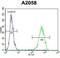 Matrix Metallopeptidase 14 antibody, abx025193, Abbexa, Flow Cytometry image 