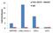 SMAD2 antibody, PA5-29237, Invitrogen Antibodies, Chromatin Immunoprecipitation image 