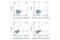 V-Set Immunoregulatory Receptor antibody, 77358S, Cell Signaling Technology, Flow Cytometry image 