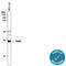 TGFB Induced Factor Homeobox 1 antibody, MAB7555, R&D Systems, Western Blot image 