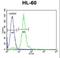 Carnitine Palmitoyltransferase 1C antibody, LS-B10201, Lifespan Biosciences, Flow Cytometry image 
