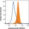 Lymphotoxin Beta Receptor antibody, AF1008, R&D Systems, Western Blot image 