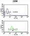 Solute Carrier Family 39 Member 8 antibody, abx034339, Abbexa, Western Blot image 
