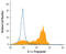 Interleukin 1 Alpha antibody, AF4154, R&D Systems, Western Blot image 