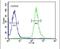 Guanylate-binding protein 7 antibody, PA5-24834, Invitrogen Antibodies, Flow Cytometry image 