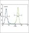 Discoidin Domain Receptor Tyrosine Kinase 1 antibody, PA5-14177, Invitrogen Antibodies, Flow Cytometry image 