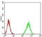 ZFP91 Zinc Finger Protein antibody, NBP2-61847, Novus Biologicals, Enzyme Linked Immunosorbent Assay image 