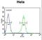 Transmembrane Protein 214 antibody, LS-B10233, Lifespan Biosciences, Flow Cytometry image 