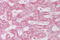 Insulin Induced Gene 1 antibody, ARP40159_P050, Aviva Systems Biology, Immunohistochemistry frozen image 