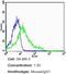 ERBB2 antibody, MA5-14057, Invitrogen Antibodies, Flow Cytometry image 