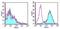 Inducible T Cell Costimulator antibody, 16-9942-81, Invitrogen Antibodies, Flow Cytometry image 