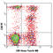 Granzyme A antibody, 507212, BioLegend, Immunocytochemistry image 