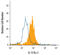 Interleukin 13 Receptor Subunit Alpha 1 antibody, BAF152, R&D Systems, Flow Cytometry image 