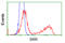 Serine Racemase antibody, LS-C115031, Lifespan Biosciences, Flow Cytometry image 