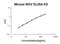 Cellular Communication Network Factor 3 antibody, EK0834, Boster Biological Technology, Enzyme Linked Immunosorbent Assay image 