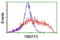 Transmembrane Protein With EGF Like And Two Follistatin Like Domains 2 antibody, LS-C173849, Lifespan Biosciences, Flow Cytometry image 