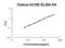 Acetylcholinesterase antibody, EK2137, Boster Biological Technology, Enzyme Linked Immunosorbent Assay image 