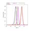 Interferon Regulatory Factor 8 antibody, 39-8800, Invitrogen Antibodies, Flow Cytometry image 