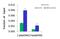 Bromodomain Containing 4 antibody, PA5-41550, Invitrogen Antibodies, Chromatin Immunoprecipitation image 