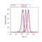 Proopiomelanocortin antibody, 701293, Invitrogen Antibodies, Flow Cytometry image 