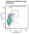 Leucine Rich Repeat Containing 32 antibody, LS-C357647, Lifespan Biosciences, Flow Cytometry image 