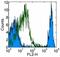 Ly76 antibody, 13-5921-82, Invitrogen Antibodies, Flow Cytometry image 